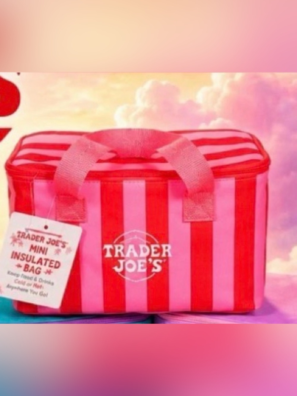 Pink Striped Trader Joe’s Mini Insulated Bag